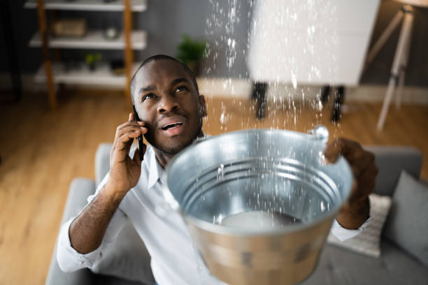 Best 24/7 water damage repair  in Campbell, OH
