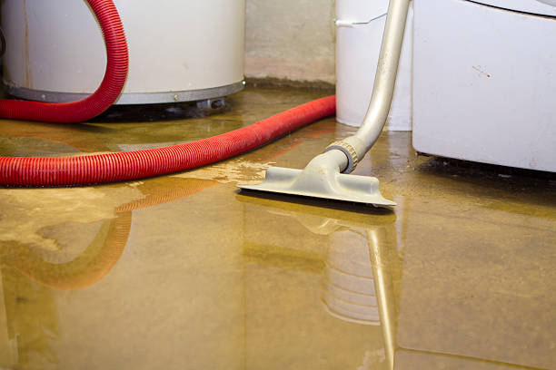 Best Local water damage restoration  in Campbell, OH
