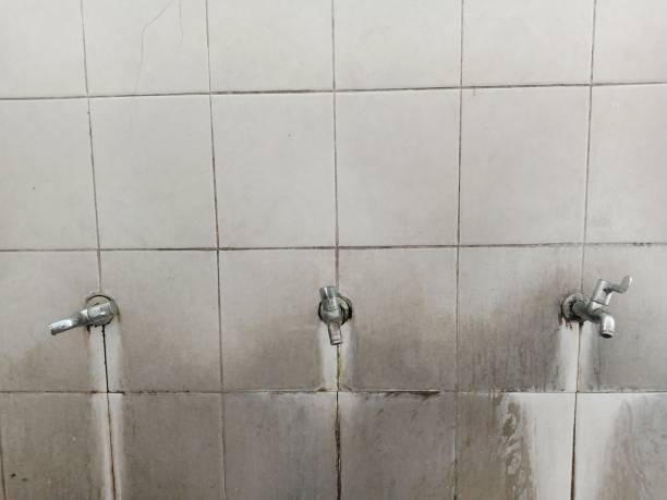 Best Sewage cleanup and water damage restoration  in Campbell, OH