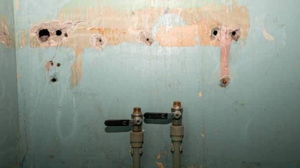 Best 24-hour water damage restoration  in Campbell, OH
