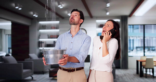 Best Flooded house restoration  in Campbell, OH