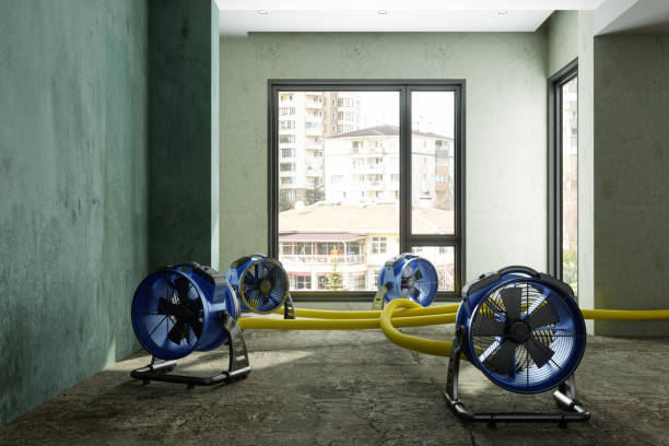 Best Flood restoration services  in Campbell, OH